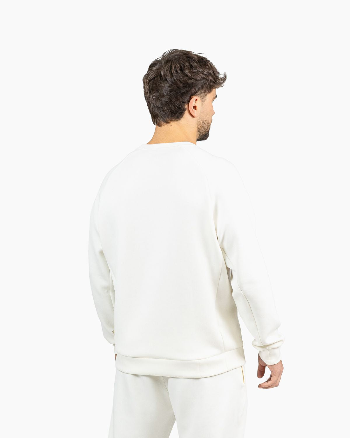 Men's crewneck sweatshirt Holo Velites back view color_Pearl