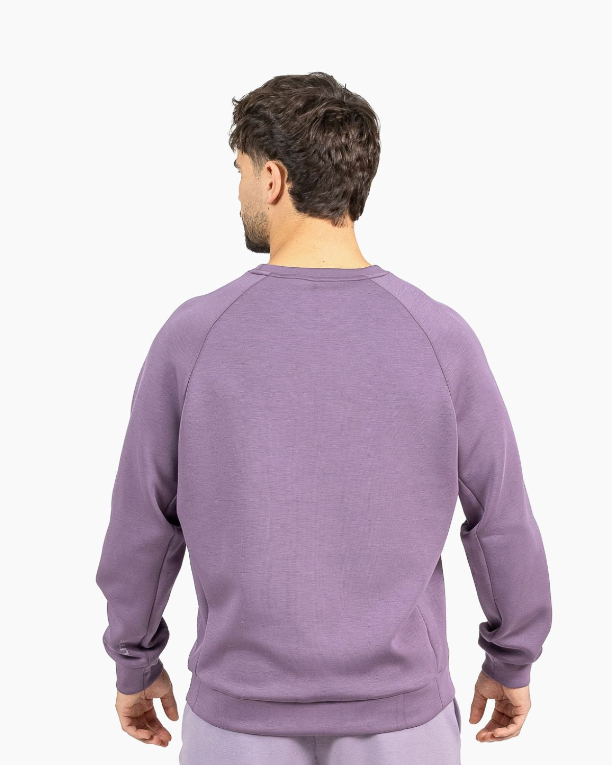 Men's crewneck sweatshirt Holo Velites back view color_Tupal