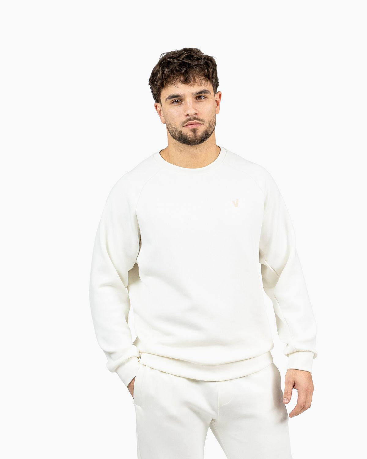 Men's crewneck sweatshirt Holo Velites full view color_Pearl